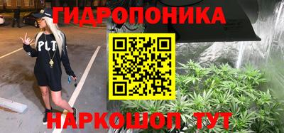 гашик Славянск-на-Кубани