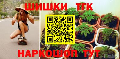твердый Сланцы