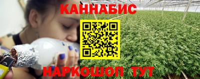твердый Сланцы
