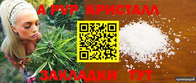твердый Сланцы