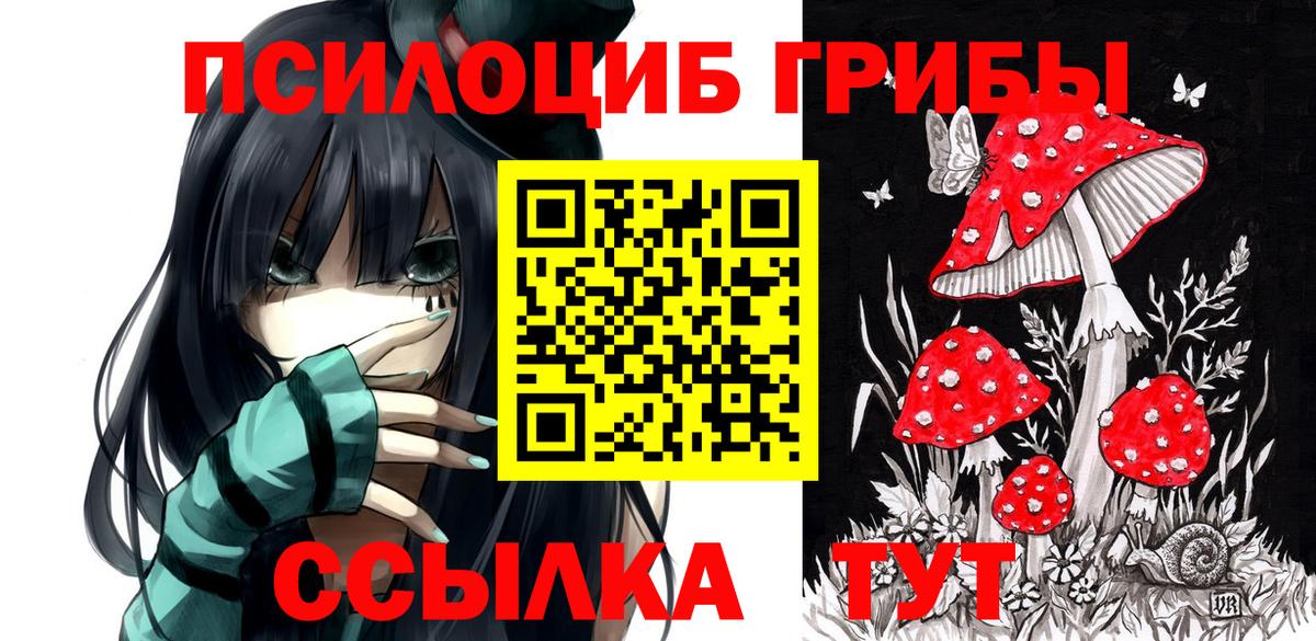 Новосибирск  купить наркоту  Вход с VPN  Галлюциногенные грибы Magic Shrooms  Галлюциногенные грибы прущие грибы 